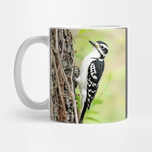 Portrait of a Hairy Woodpecker 2-Female Mug